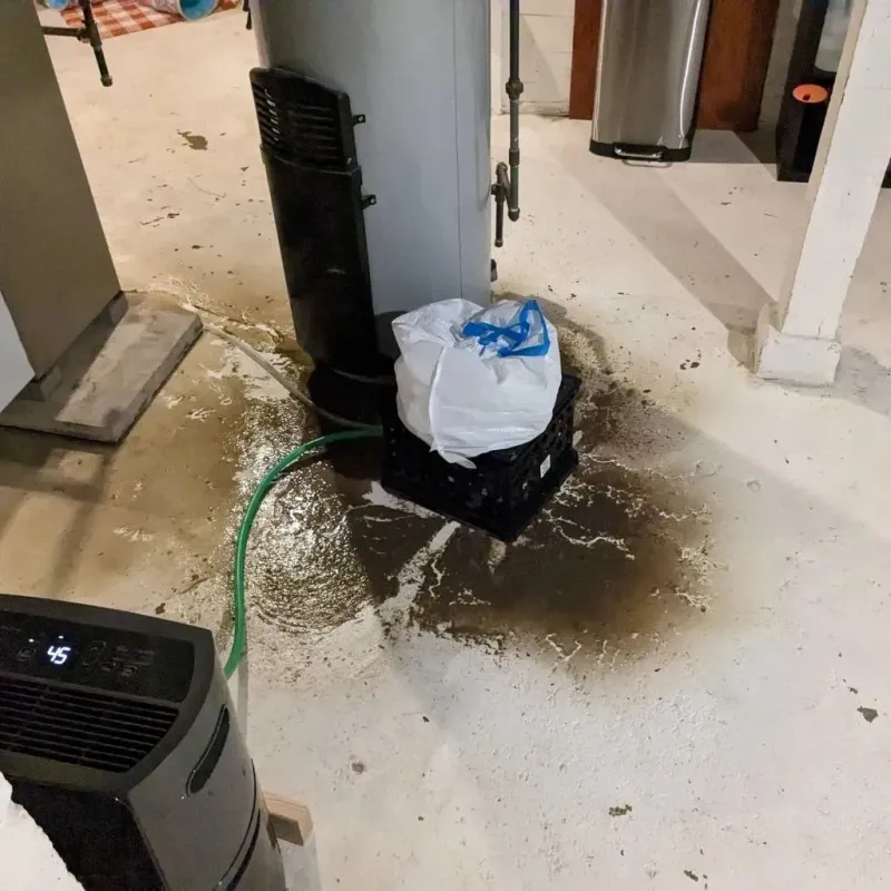 Sewage Backup Cleanup Service in Altamont, OR